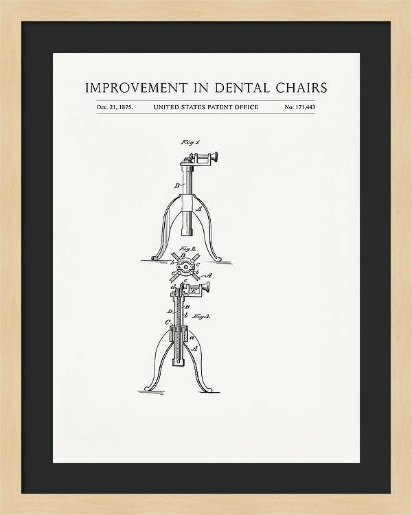 Dental Chair Minimalist Patent Us171443a