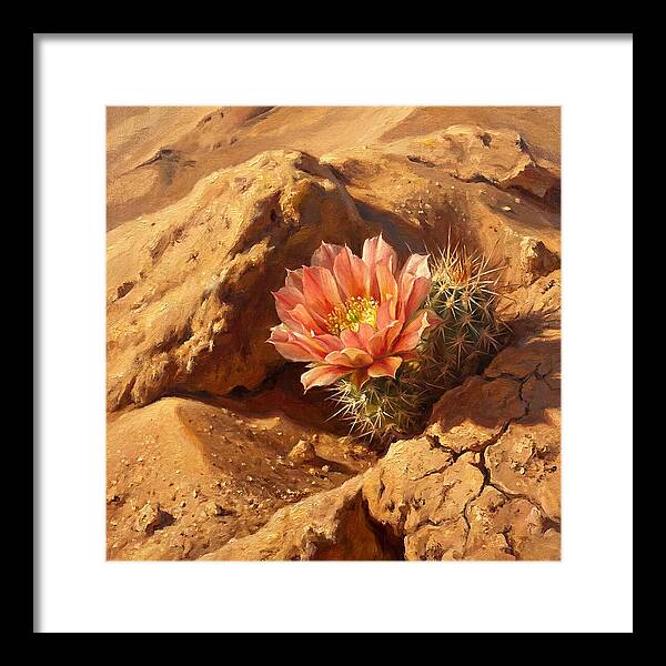 Desert Blooming Cactus