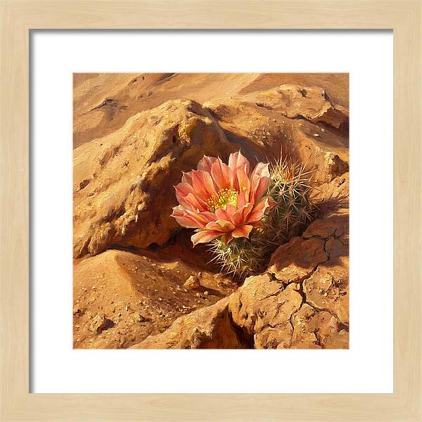 Desert Blooming Cactus