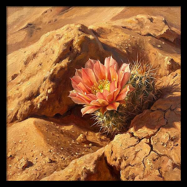 Desert Blooming Cactus