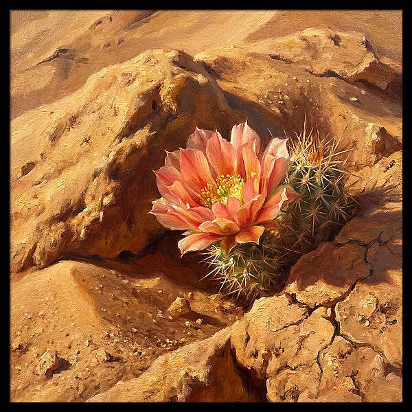 Desert Blooming Cactus