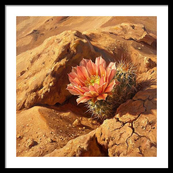 Desert Blooming Cactus