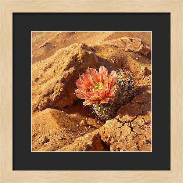 Desert Blooming Cactus