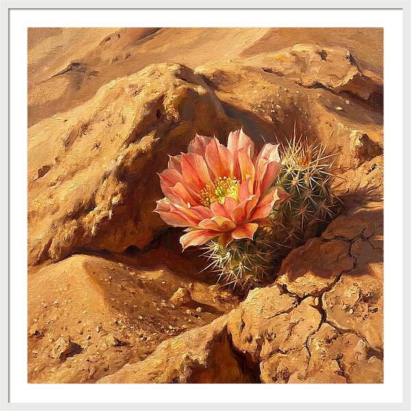 Desert Blooming Cactus