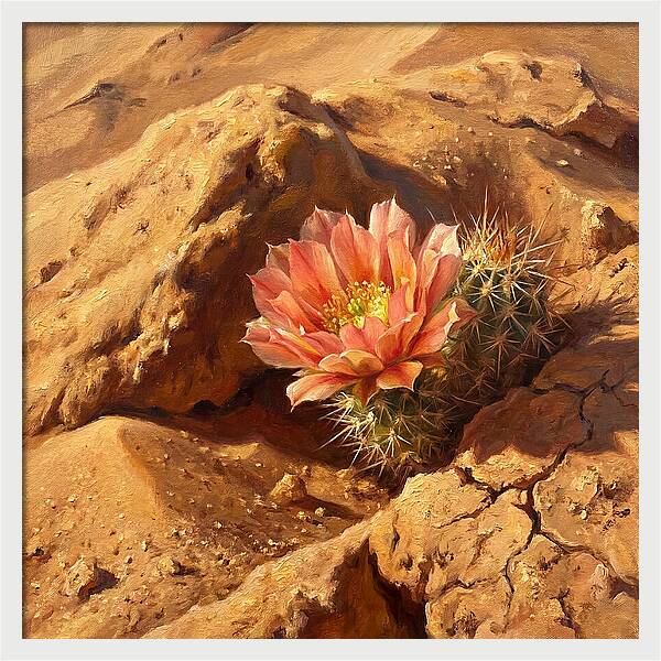 Desert Blooming Cactus