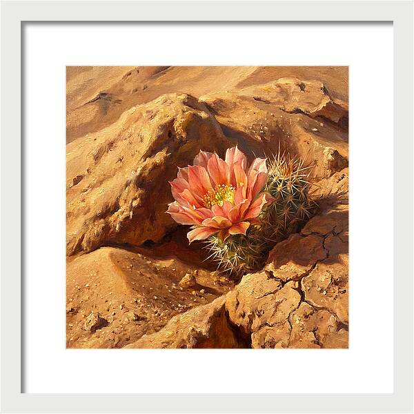 Desert Blooming Cactus