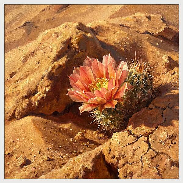 Desert Blooming Cactus