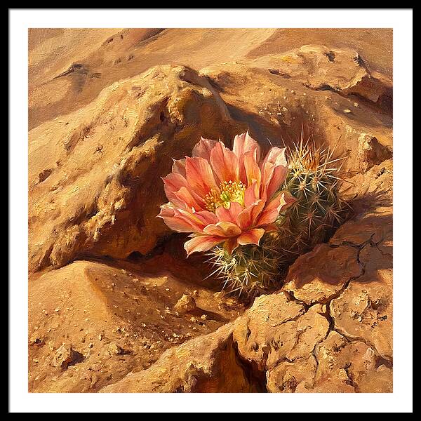 Desert Blooming Cactus