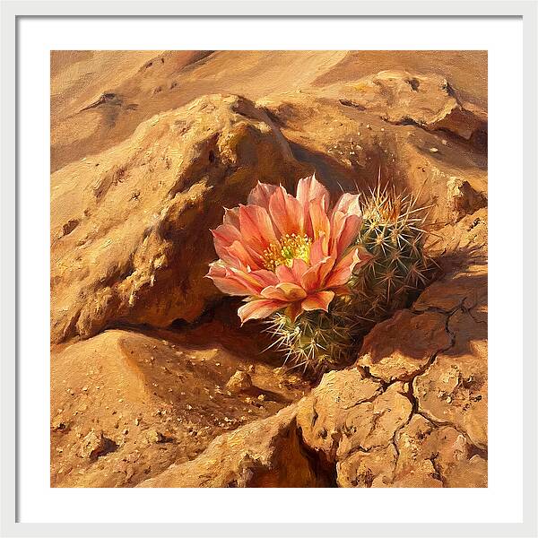 Desert Blooming Cactus