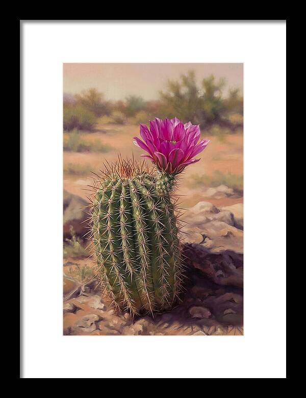 Desert Cactus In Bloom