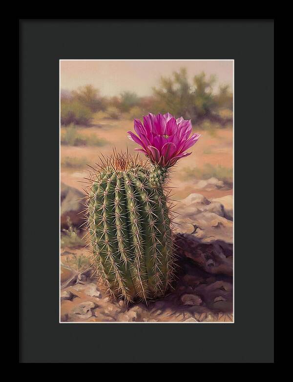 Desert Cactus In Bloom