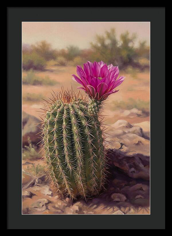 Desert Cactus In Bloom