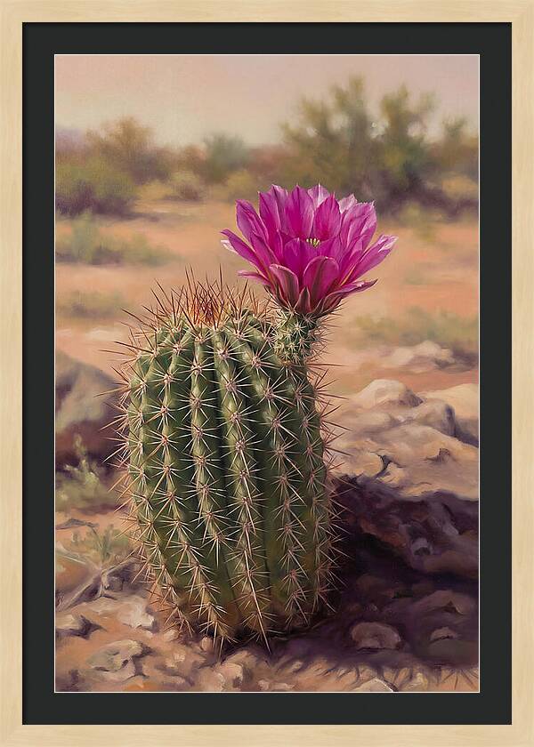Desert Cactus In Bloom