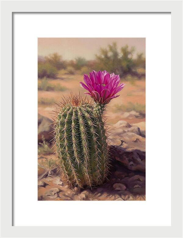 Desert Cactus In Bloom