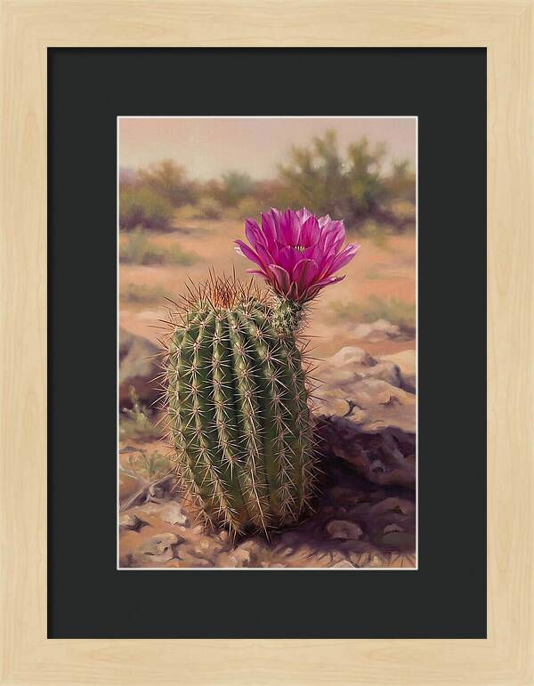 Desert Cactus In Bloom
