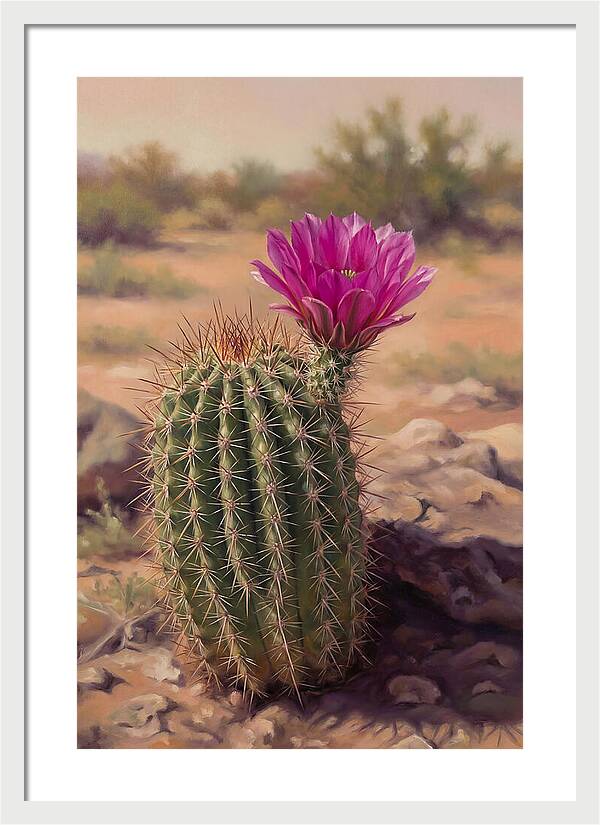 Desert Cactus In Bloom