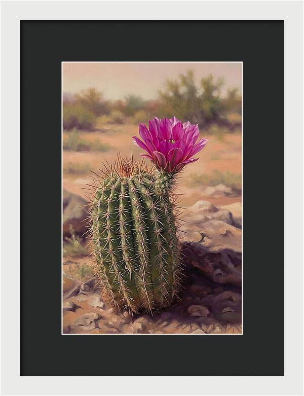 Desert Cactus In Bloom
