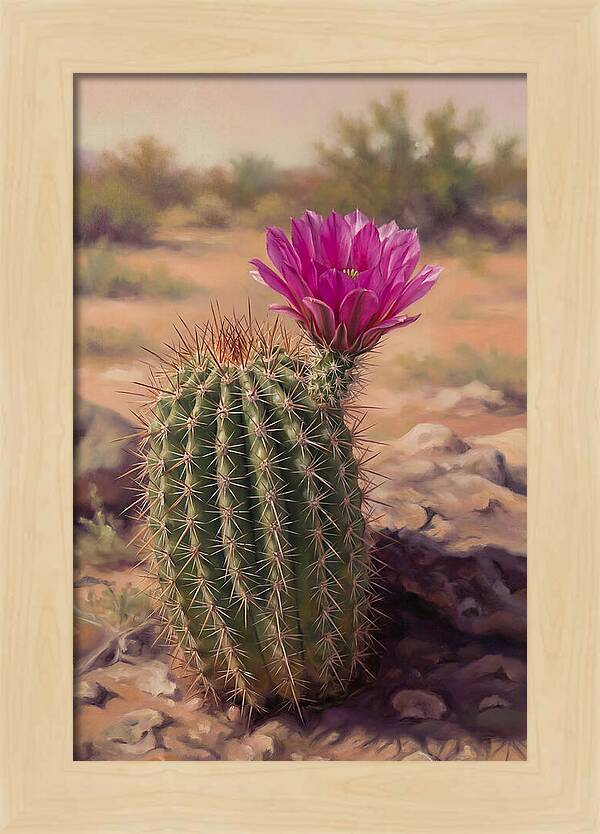 Desert Cactus In Bloom