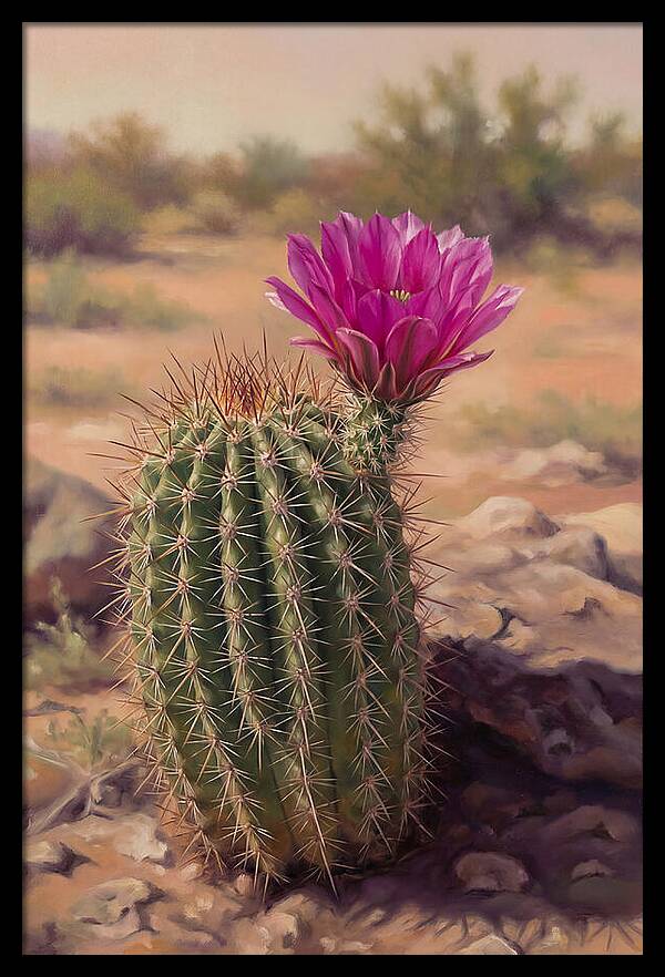Desert Cactus In Bloom