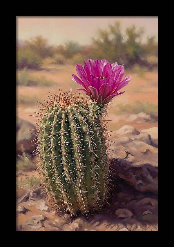 Desert Cactus In Bloom