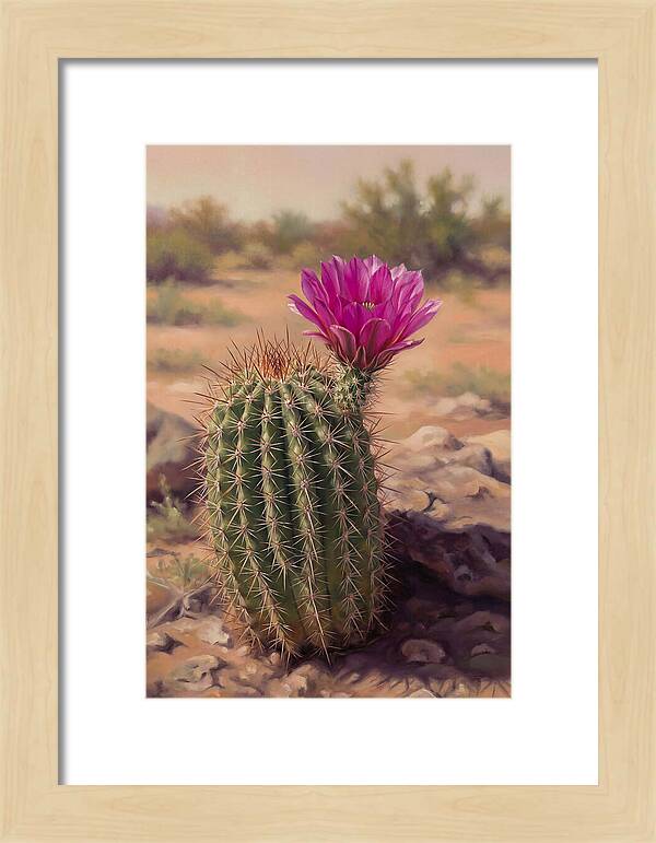 Desert Cactus In Bloom