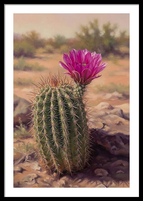 Desert Cactus In Bloom