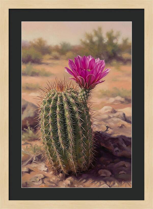 Desert Cactus In Bloom