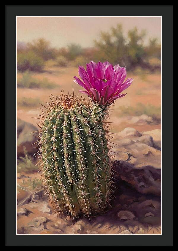 Desert Cactus In Bloom