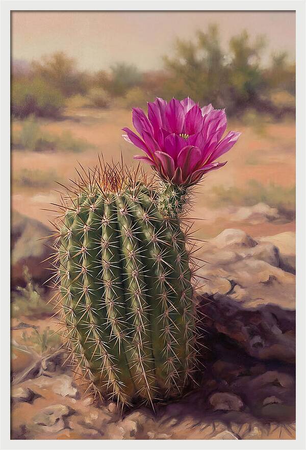 Desert Cactus In Bloom