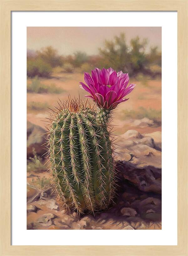 Desert Cactus In Bloom