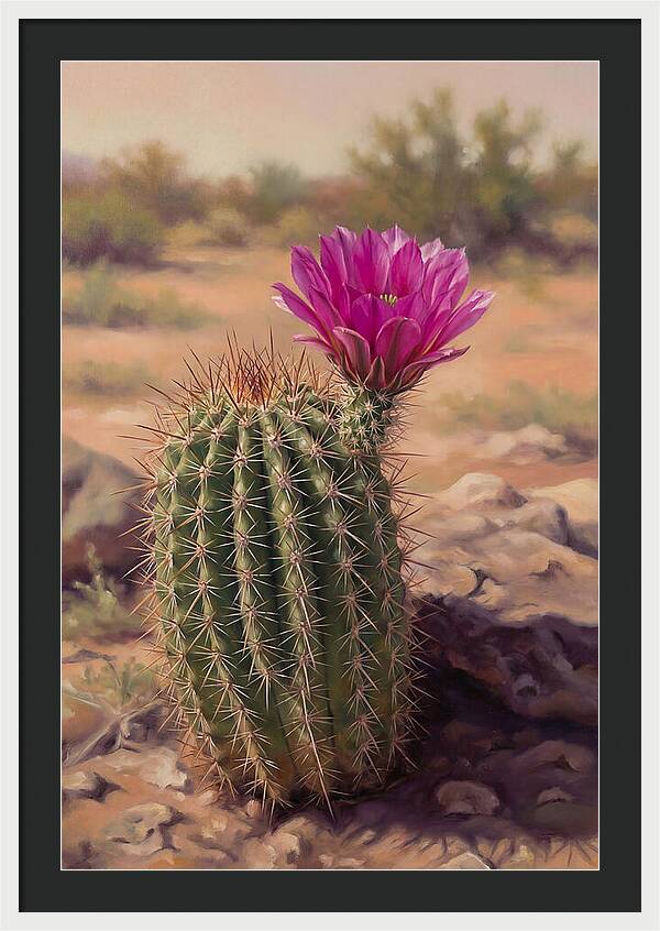 Desert Cactus In Bloom