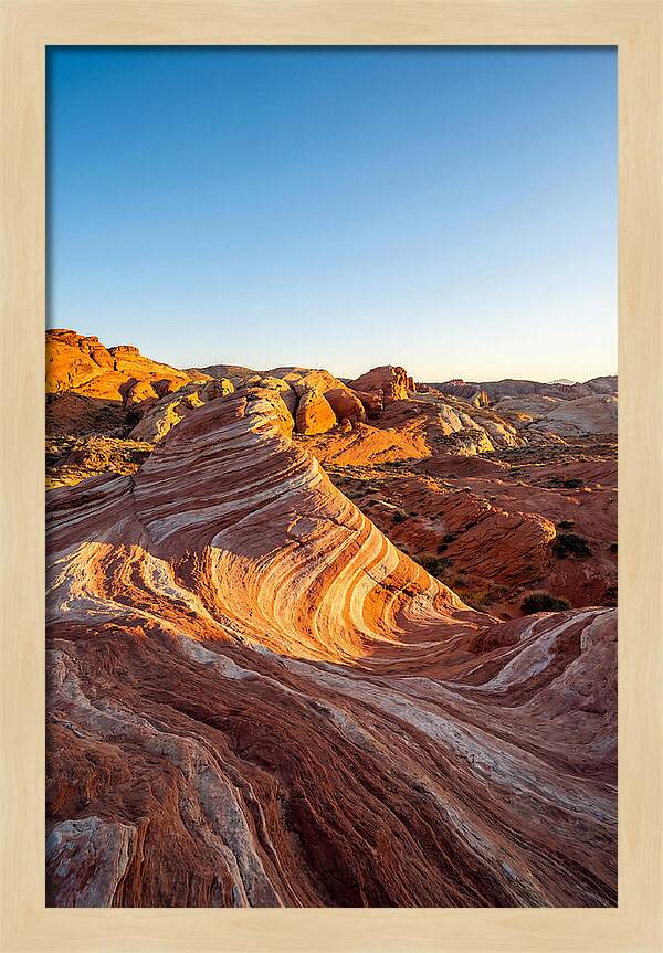 Desert Dreams At Dusk