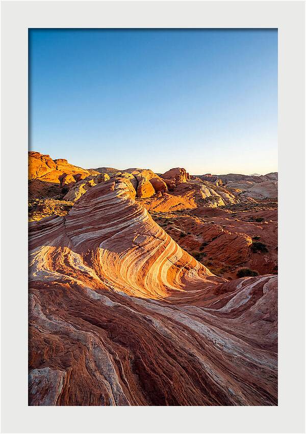 Desert Dreams At Dusk
