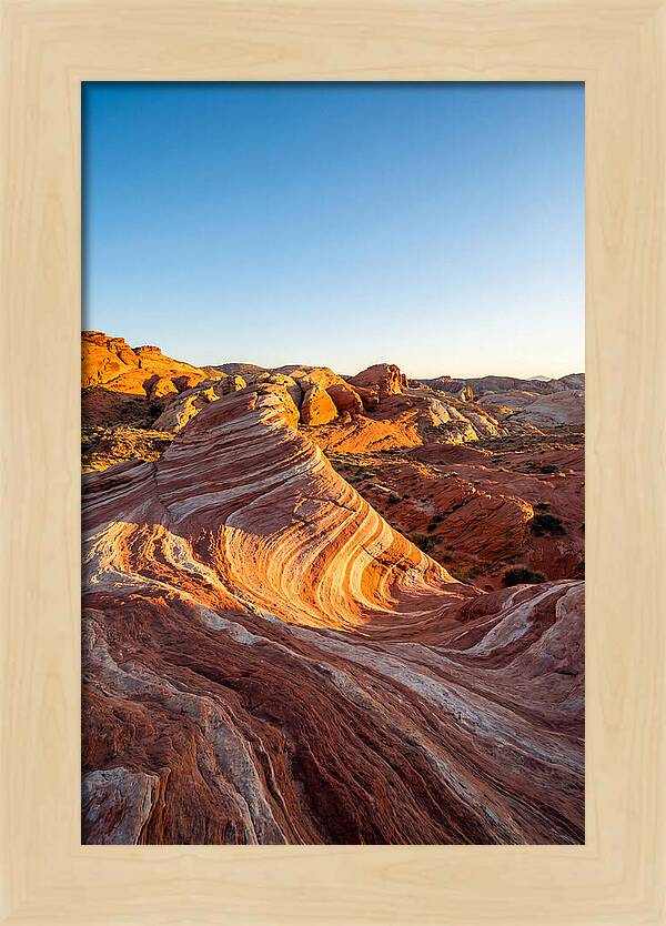 Desert Dreams At Dusk