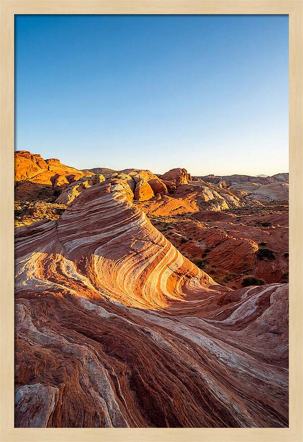 Desert Dreams At Dusk