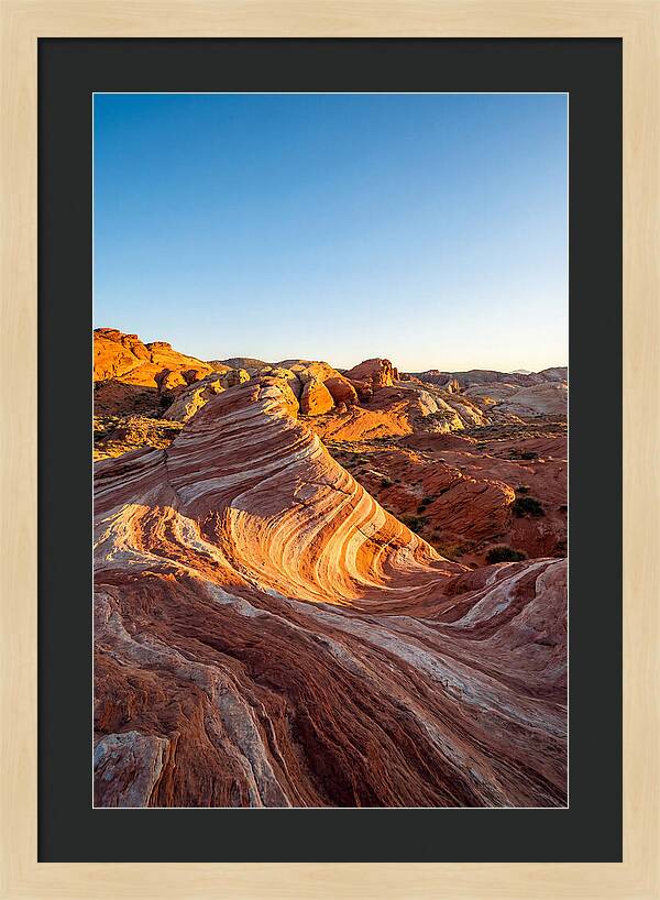 Desert Dreams At Dusk