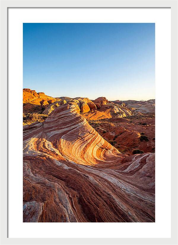 Desert Dreams At Dusk