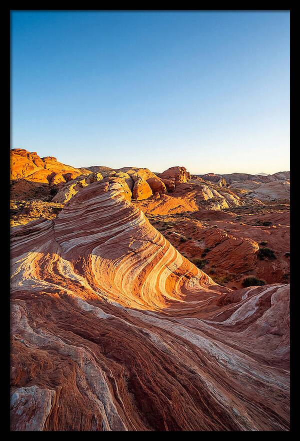 Desert Dreams At Dusk