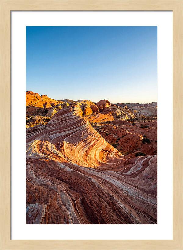 Desert Dreams At Dusk