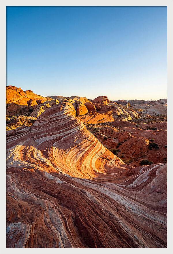 Desert Dreams At Dusk