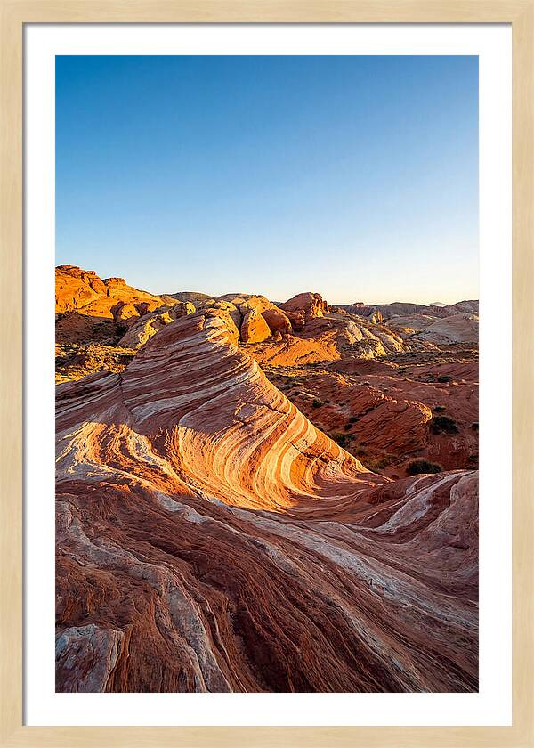 Desert Dreams At Dusk