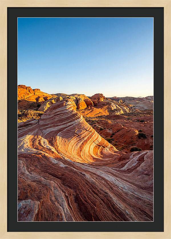 Desert Dreams At Dusk