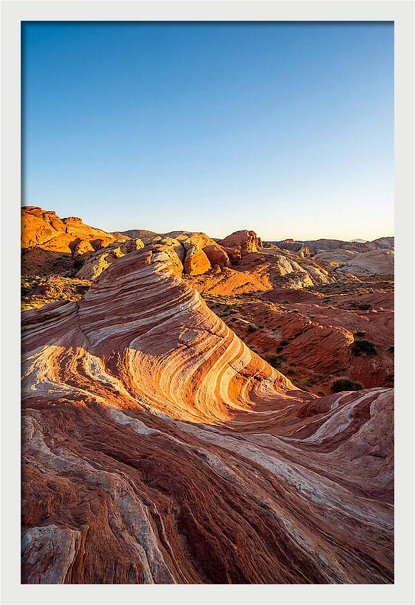 Desert Dreams At Dusk