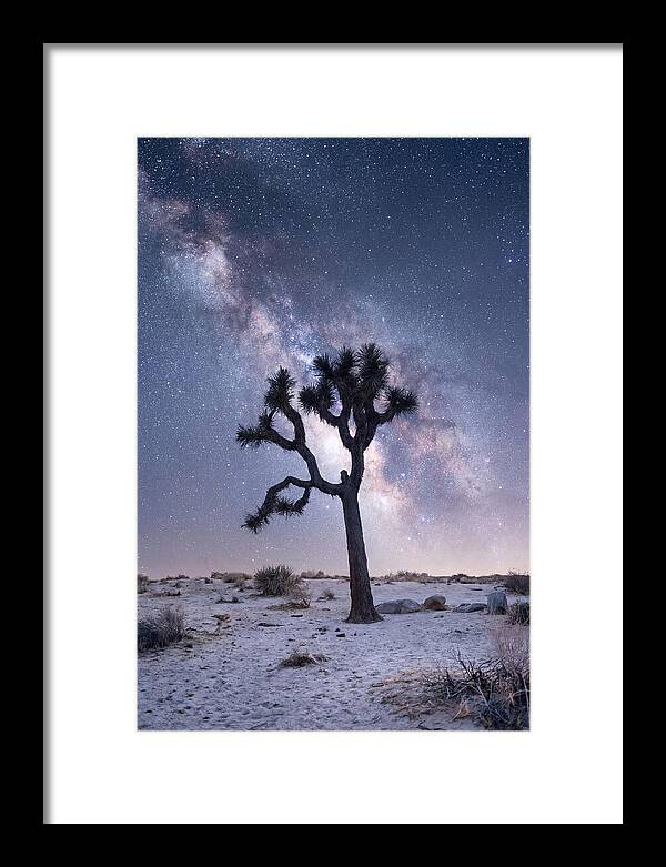 Desert Dreams Under Starry Skies