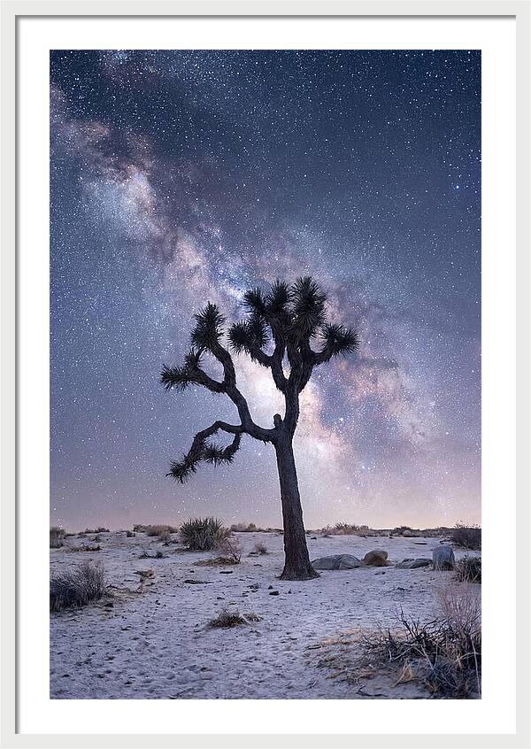 Desert Dreams Under Starry Skies