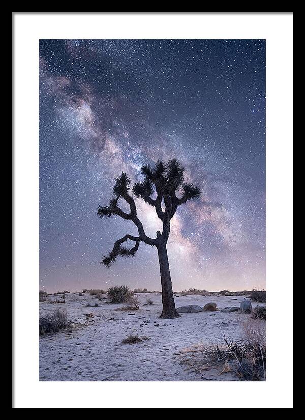 Desert Dreams Under Starry Skies