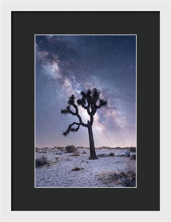 Desert Dreams Under Starry Skies