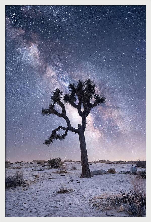 Desert Dreams Under Starry Skies