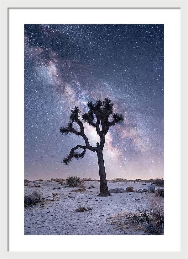 Desert Dreams Under Starry Skies