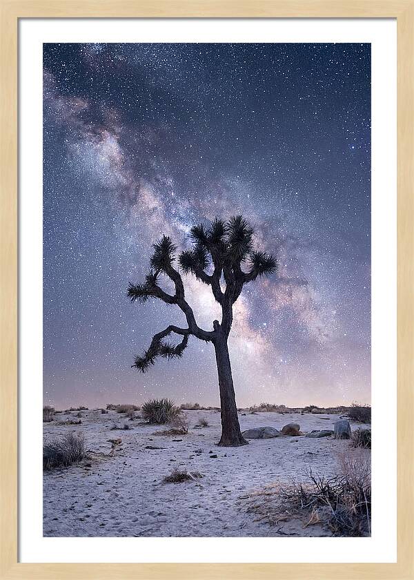 Desert Dreams Under Starry Skies